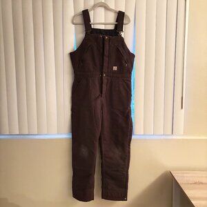 Women's Insulated Carhartt Bib Overalls (Size L Short)